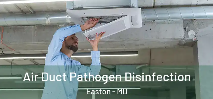  Air Duct Pathogen Disinfection Easton - MD
