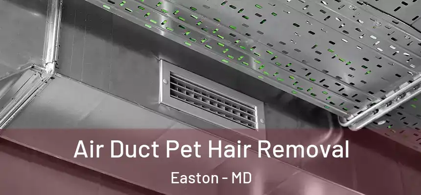 Air Duct Pet Hair Removal Easton - MD