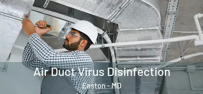 Air Duct Virus Disinfection Easton - MD