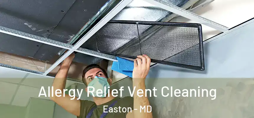 Allergy Relief Vent Cleaning Easton - MD