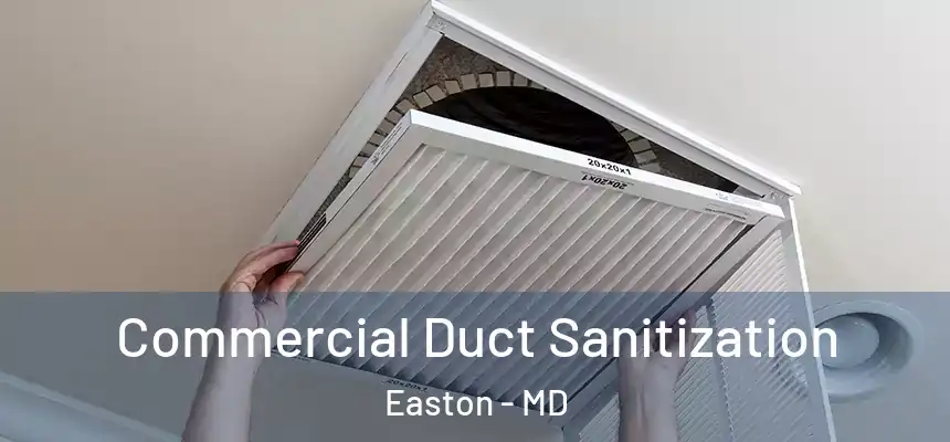 Commercial Duct Sanitization Easton - MD