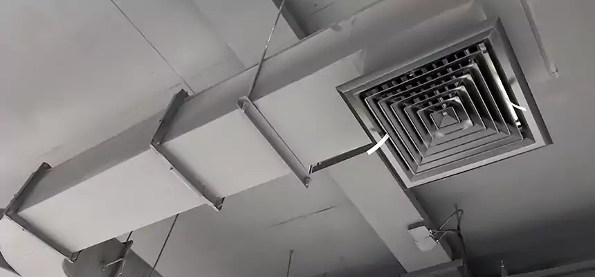 Restorative Allergy Relief Vent Cleaning – Coil, Blower & Housing Detail in Easton