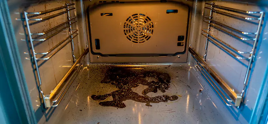 Our Dryer Vent Mold Cleaning Services in Easton, MD