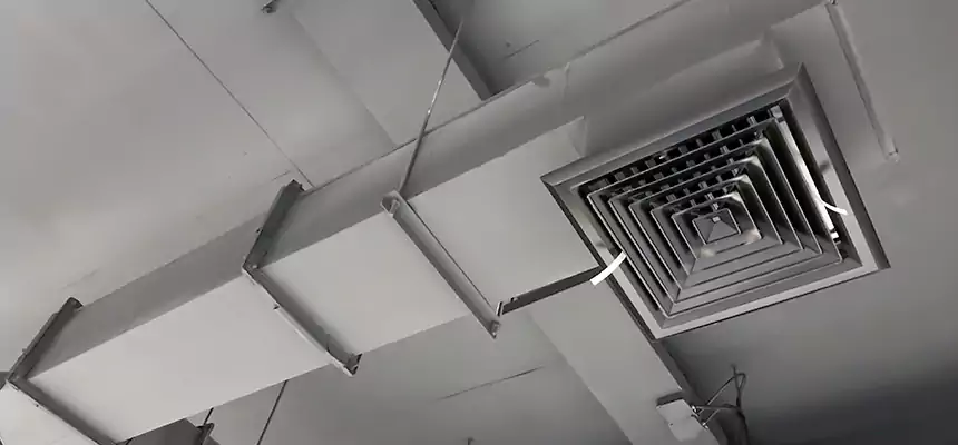 Our Rodent Droppings In Vents Services in Easton, MD