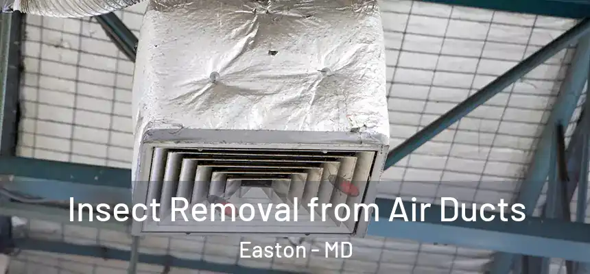 Insect Removal from Air Ducts Easton - MD