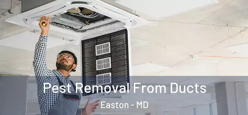  Pest Removal From Ducts Easton - MD