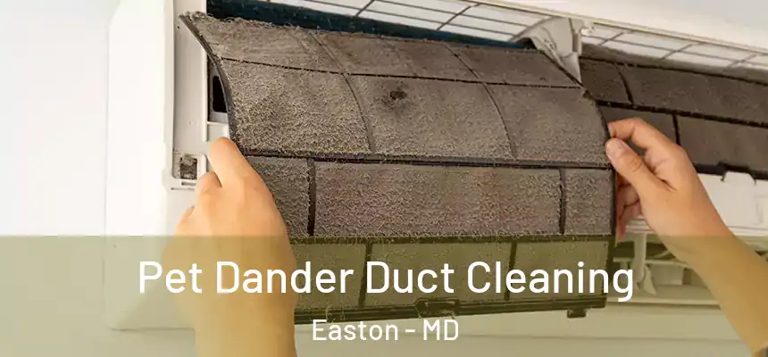  Pet Dander Duct Cleaning Easton - MD