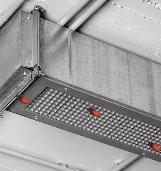 About Air Duct Cockroach Removal in Easton, MD