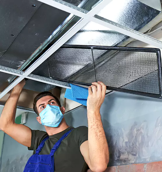 Professional Air Duct Pollen Cleaning in Easton, MD