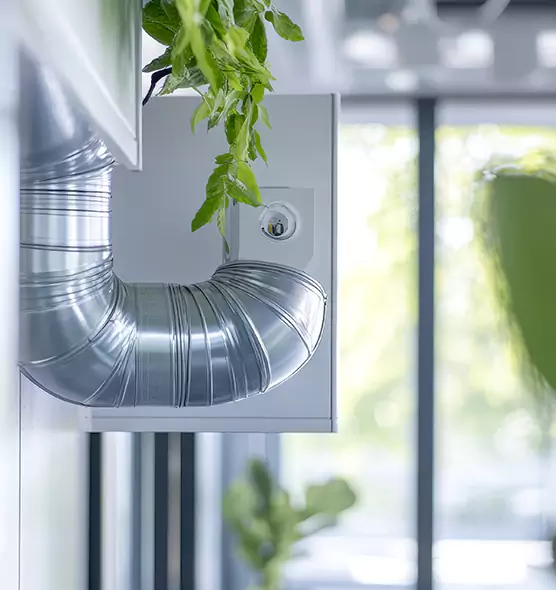 Professional Eco-Safe Dryer Vent Cleaning in Easton, MD