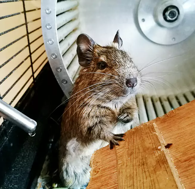 Why Homeowners & Businesses Trust Us Easton, MD?