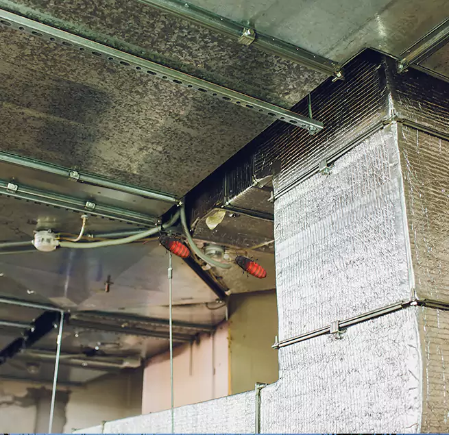 Why Homeowners & Businesses Trust Us Easton, MD?