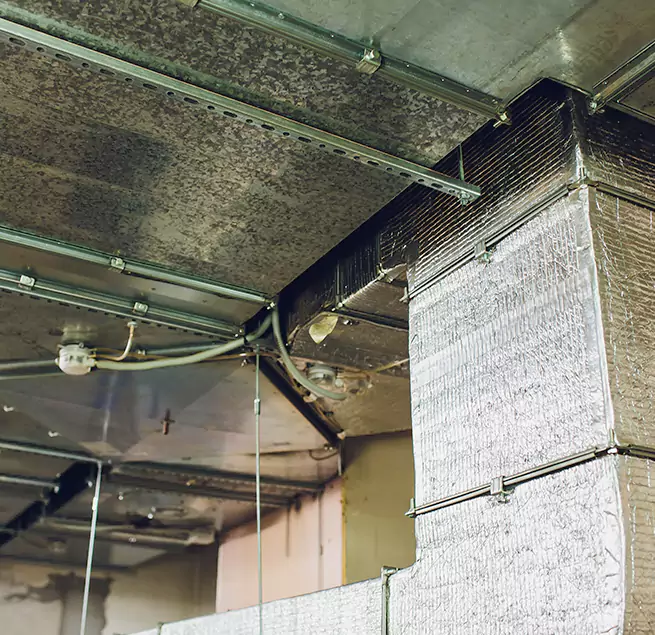 Why Homeowners & Businesses Trust Us in Easton, MD?