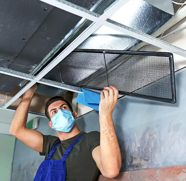 Why Homeowners & Businesses Trust Us in Easton, MD?